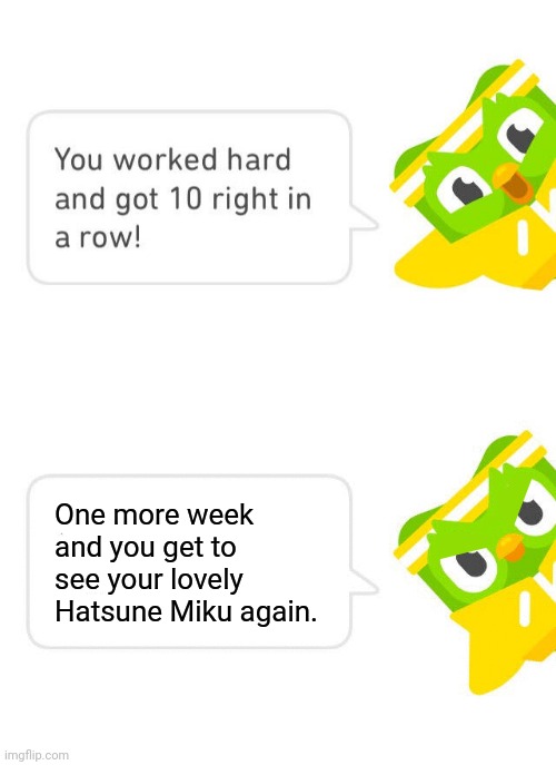 No! Don't! I will give away all my Robux for her! | One more week and you get to see your lovely Hatsune Miku again. | image tagged in duolingo 10 in a row,duolingo,duolingo bird,hatsune miku | made w/ Imgflip meme maker