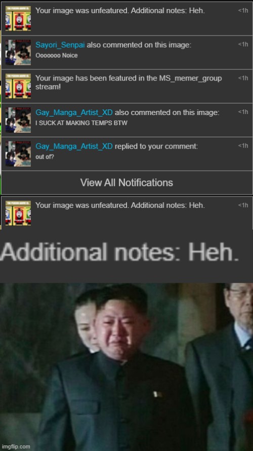 why? you just dissaprove an image of a normal person making normal memes? | image tagged in memes,kim jong un sad | made w/ Imgflip meme maker