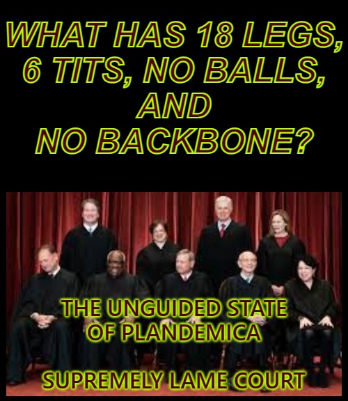 May The Fraud Be With You | WHAT HAS 18 LEGS,
6 TITS, NO BALLS,

AND
NO BACKBONE? THE UNGUIDED STATE
OF PLANDEMICA
 
SUPREMELY LAME COURT | image tagged in supreme court,fraud,voter fraud,election fraud,trump wins,biden sucks | made w/ Imgflip meme maker