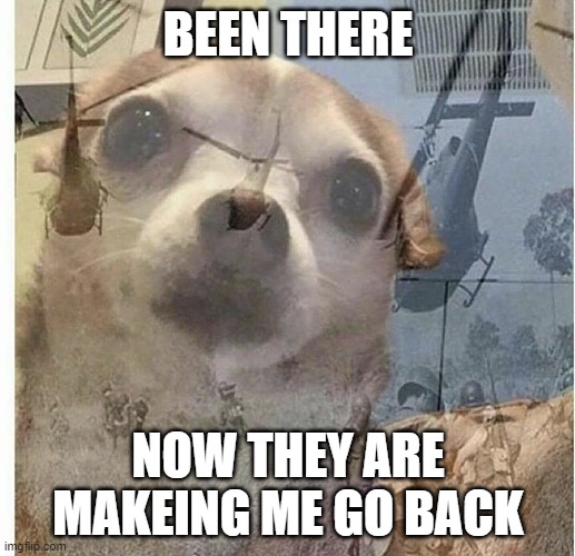 PTSD Chihuahua | BEEN THERE NOW THEY ARE MAKEING ME GO BACK | image tagged in ptsd chihuahua | made w/ Imgflip meme maker