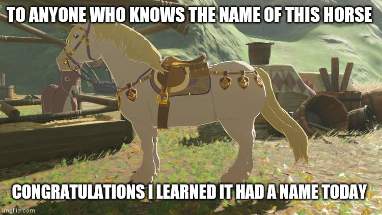 Horse | TO ANYONE WHO KNOWS THE NAME OF THIS HORSE; CONGRATULATIONS I LEARNED IT HAD A NAME TODAY | image tagged in horse,zelda | made w/ Imgflip meme maker