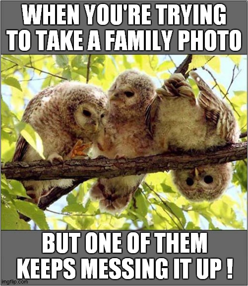 There's Always One ! | WHEN YOU'RE TRYING TO TAKE A FAMILY PHOTO; BUT ONE OF THEM KEEPS MESSING IT UP ! | image tagged in photography,failure | made w/ Imgflip meme maker