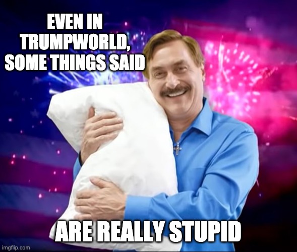 Mike Lindell | EVEN IN TRUMPWORLD, SOME THINGS SAID ARE REALLY STUPID | image tagged in mike lindell | made w/ Imgflip meme maker