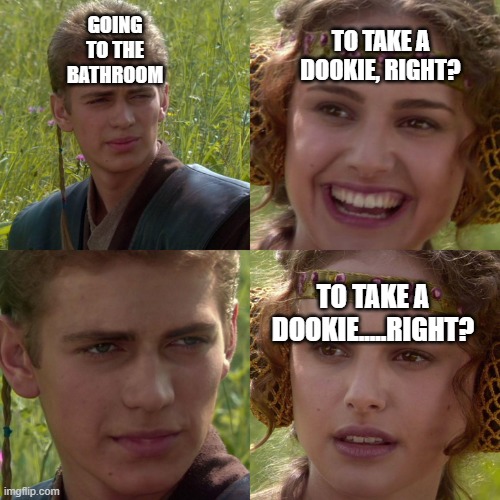 D0okie-D0 | GOING TO THE BATHROOM; TO TAKE A DOOKIE, RIGHT? TO TAKE A DOOKIE.....RIGHT? | image tagged in memes | made w/ Imgflip meme maker