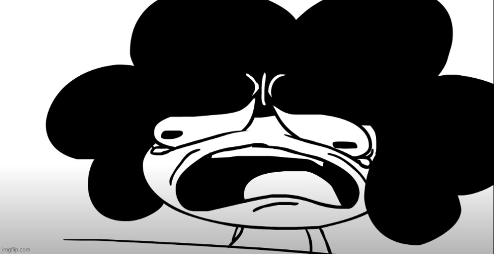 Sr Pelo crying | image tagged in sr pelo crying | made w/ Imgflip meme maker