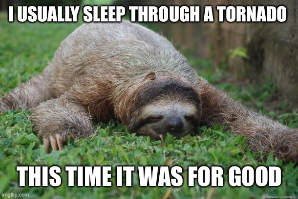 Sleeping sloth | I USUALLY SLEEP THROUGH A TORNADO; THIS TIME IT WAS FOR GOOD | image tagged in sleeping sloth,memes | made w/ Imgflip meme maker