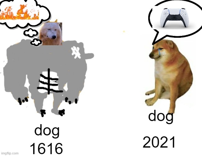 My first meme | dog; dog; 2021; 1616 | image tagged in memes,buff doge vs cheems | made w/ Imgflip meme maker