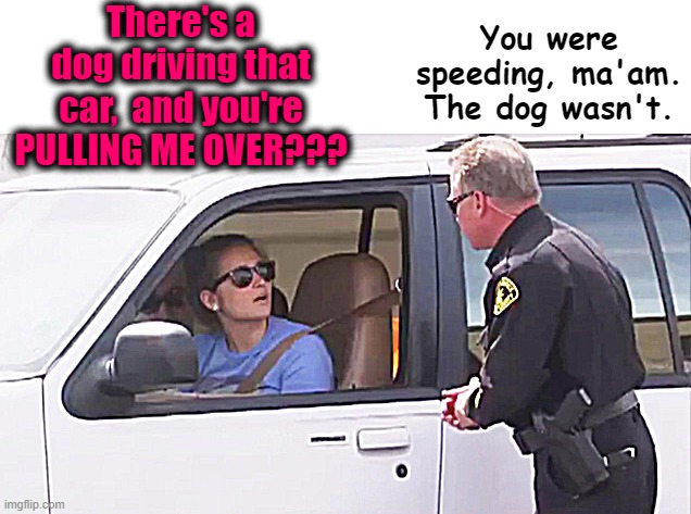 There's a dog driving that car,  and you're PULLING ME OVER??? You were speeding, ma'am. The dog wasn't. | made w/ Imgflip meme maker