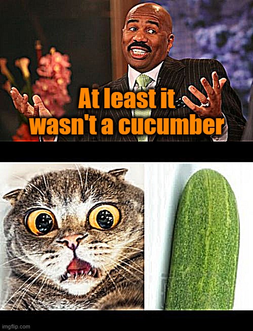 At least it wasn't a cucumber | image tagged in memes,steve harvey | made w/ Imgflip meme maker