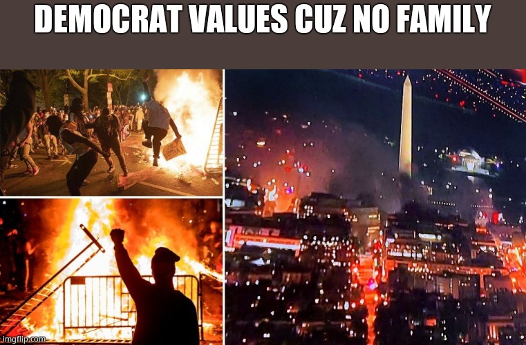 DC riot | DEMOCRAT VALUES CUZ NO FAMILY | image tagged in dc riot | made w/ Imgflip meme maker