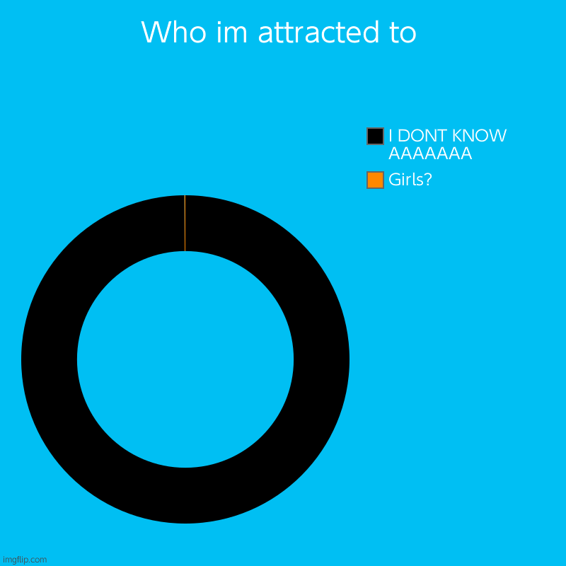 Aaaaaaa | Who im attracted to | Girls?, I DONT KNOW AAAAAAA | image tagged in charts,donut charts | made w/ Imgflip chart maker