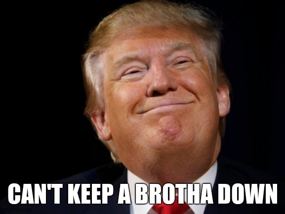 Smug Trump | CAN'T KEEP A BROTHA DOWN | image tagged in smug trump | made w/ Imgflip meme maker