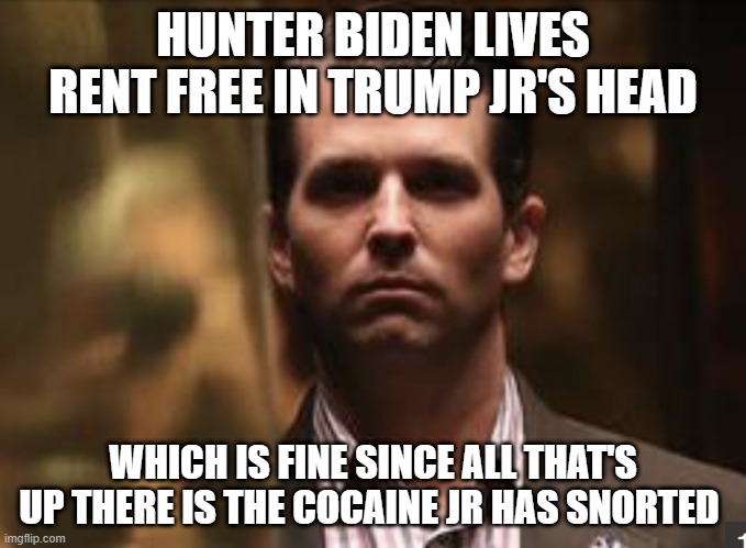 Treasonous Donald Trump Jr. | HUNTER BIDEN LIVES RENT FREE IN TRUMP JR'S HEAD; WHICH IS FINE SINCE ALL THAT'S UP THERE IS THE COCAINE JR HAS SNORTED | image tagged in treasonous donald trump jr | made w/ Imgflip meme maker