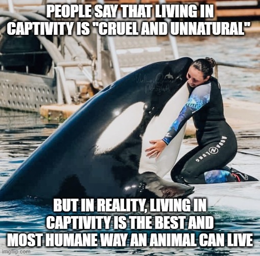 Captivity Rocks! | PEOPLE SAY THAT LIVING IN CAPTIVITY IS "CRUEL AND UNNATURAL"; BUT IN REALITY, LIVING IN CAPTIVITY IS THE BEST AND MOST HUMANE WAY AN ANIMAL CAN LIVE | image tagged in captivity is awesome | made w/ Imgflip meme maker