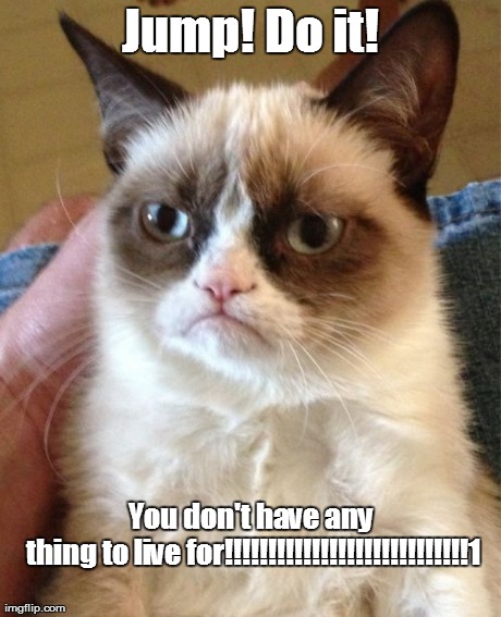 Grumpy Cat Meme | Jump! Do it! You don't have any thing to live for!!!!!!!!!!!!!!!!!!!!!!!!!!!!1 
 | image tagged in memes,grumpy cat | made w/ Imgflip meme maker