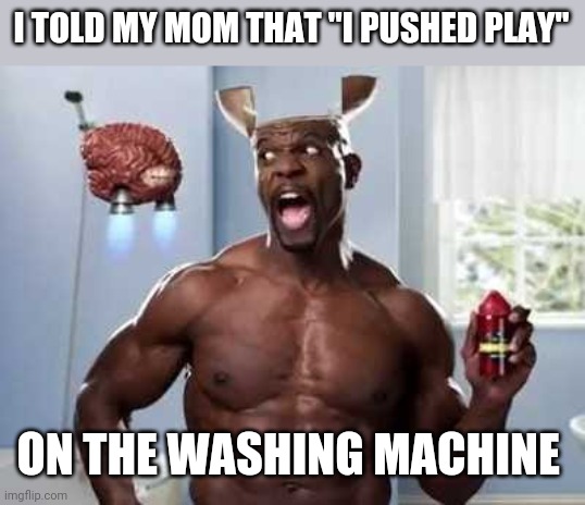 Terry | I TOLD MY MOM THAT "I PUSHED PLAY"; ON THE WASHING MACHINE | image tagged in terry | made w/ Imgflip meme maker