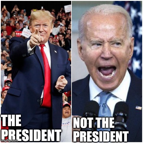 President | THE PRESIDENT; NOT THE PRESIDENT | image tagged in president | made w/ Imgflip meme maker
