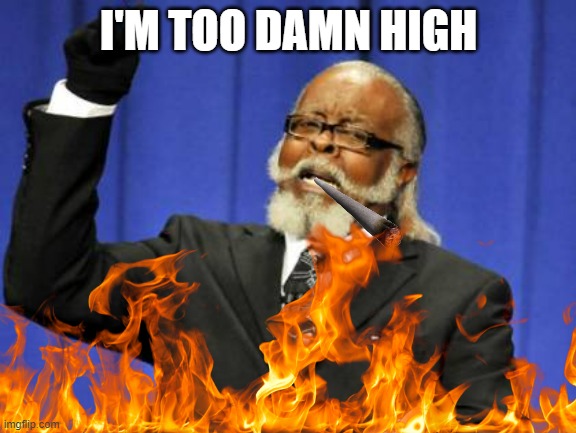 I'm too damn high | I'M TOO DAMN HIGH | image tagged in too damn high | made w/ Imgflip meme maker
