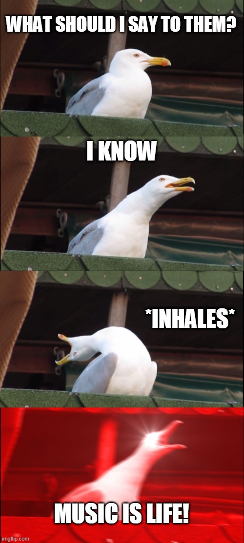 Inhaling Seagull | WHAT SHOULD I SAY TO THEM? I KNOW; *INHALES*; MUSIC IS LIFE! | image tagged in memes,inhaling seagull | made w/ Imgflip meme maker
