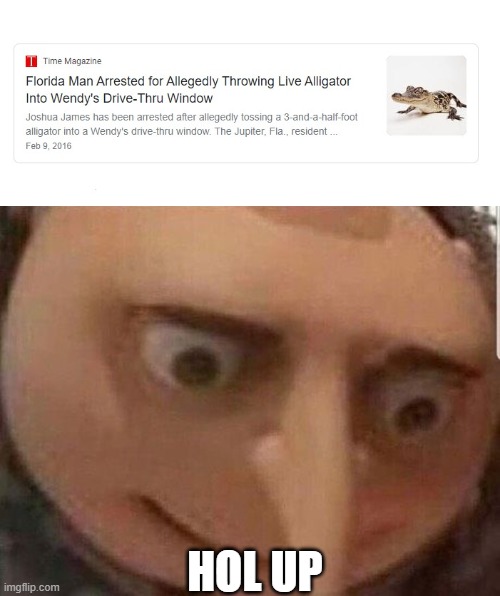 Hollllll up | HOL UP | image tagged in gru meme,meme | made w/ Imgflip meme maker