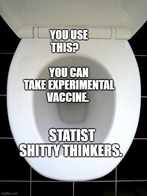 TOILET | YOU USE THIS?                YOU CAN TAKE EXPERIMENTAL VACCINE. STATIST SHITTY THINKERS. | image tagged in toilet | made w/ Imgflip meme maker