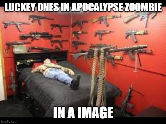 lucky ones in apocalypse zoombie | LUCKEY ONES IN APOCALYPSE ZOOMBIE; IN A IMAGE | image tagged in lucky ones in apocalypse zoombie,apocalypse,zoombie | made w/ Imgflip meme maker