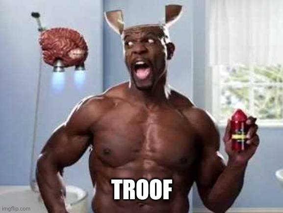 Terry | TROOF | image tagged in terry | made w/ Imgflip meme maker