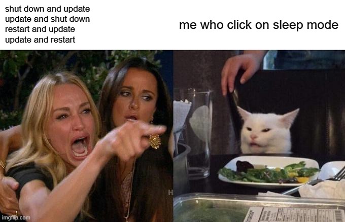update windows | shut down and update
update and shut down
restart and update
update and restart; me who click on sleep mode | image tagged in memes,woman yelling at cat | made w/ Imgflip meme maker