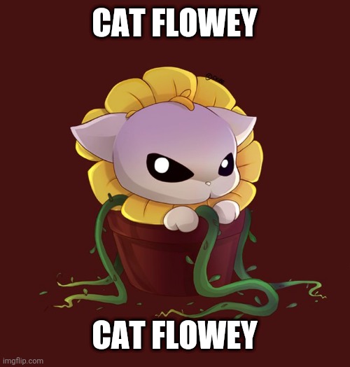 CAT FLOWEY; CAT FLOWEY | made w/ Imgflip meme maker