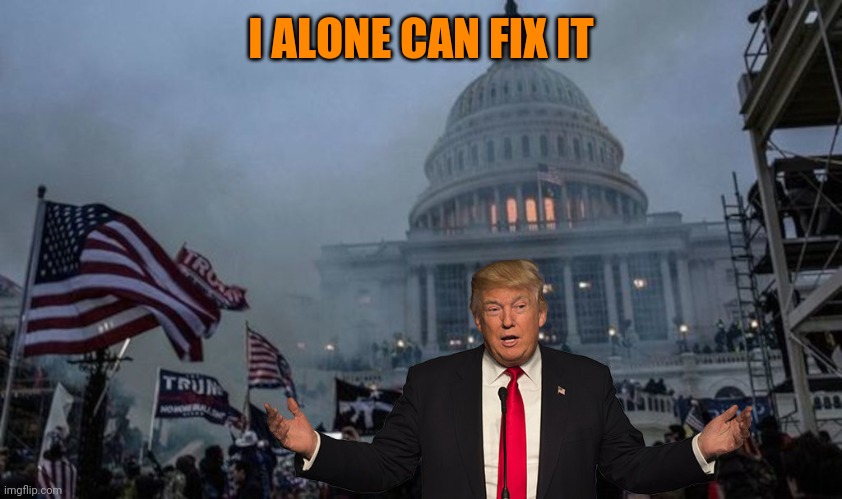 misconstrued coup | I ALONE CAN FIX IT | image tagged in misconstrued coup | made w/ Imgflip meme maker