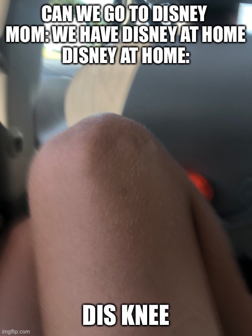 Dis knee | CAN WE GO TO DISNEY 
MOM: WE HAVE DISNEY AT HOME
DISNEY AT HOME:; DIS KNEE | image tagged in funny | made w/ Imgflip meme maker