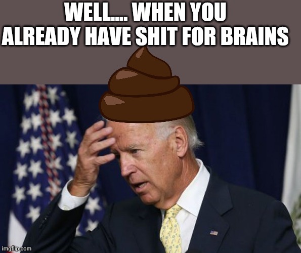 Joe Biden worries | WELL.... WHEN YOU ALREADY HAVE SHIT FOR BRAINS | image tagged in joe biden worries | made w/ Imgflip meme maker
