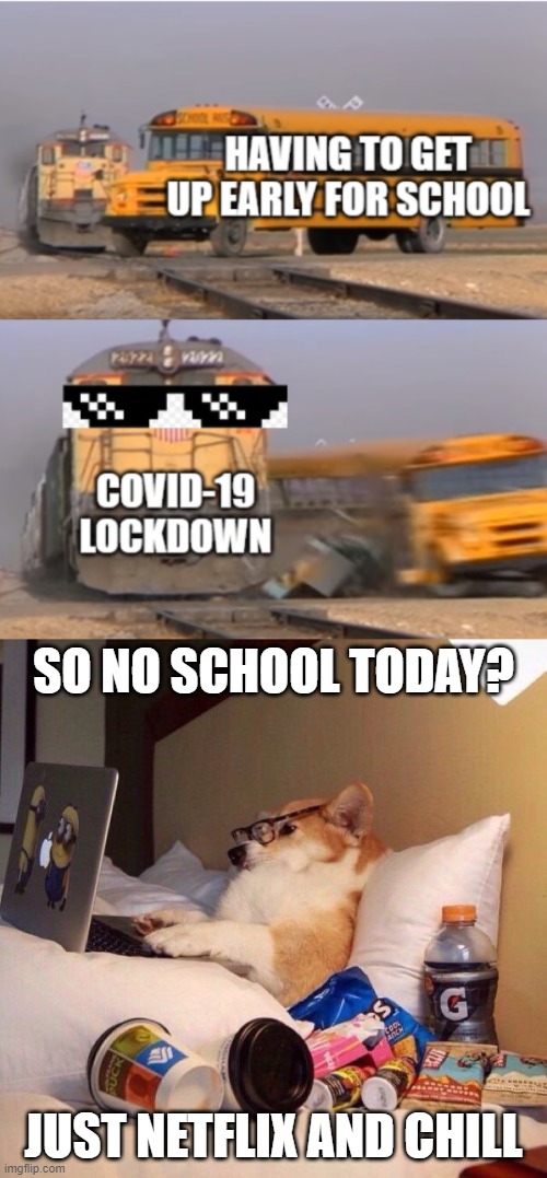 School Today = Just Netflix and Chill |  SO NO SCHOOL TODAY? JUST NETFLIX AND CHILL | image tagged in lazy dog in bed,train hits school bus,covid lockdown | made w/ Imgflip meme maker
