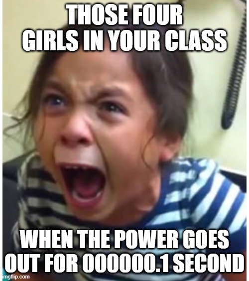Screaming girl | THOSE FOUR GIRLS IN YOUR CLASS; WHEN THE POWER GOES OUT FOR 000000.1 SECOND | image tagged in screaming girl | made w/ Imgflip meme maker