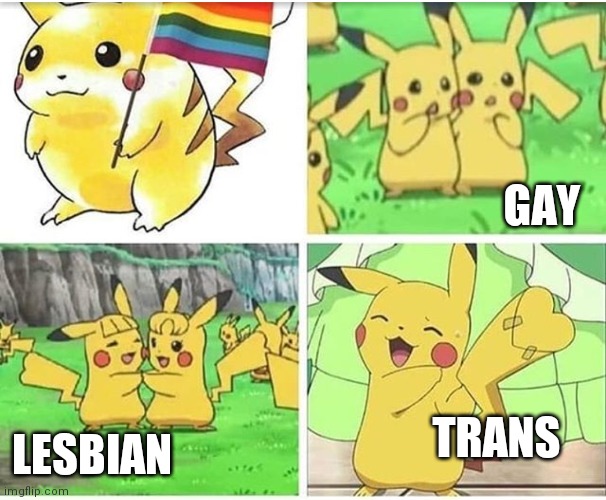 Pokemon care about sexuality | GAY; TRANS; LESBIAN | image tagged in pikachu,lgbtq,wow,oh wow are you actually reading these tags | made w/ Imgflip meme maker