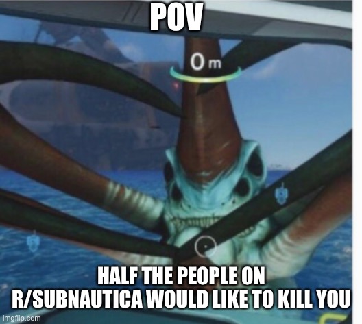POV; HALF THE PEOPLE ON R/SUBNAUTICA WOULD LIKE TO KILL YOU | made w/ Imgflip meme maker