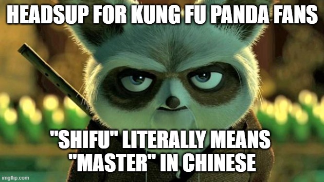 Master Master! | HEADSUP FOR KUNG FU PANDA FANS; "SHIFU" LITERALLY MEANS 
"MASTER" IN CHINESE | image tagged in shifu losing patience,kung fu panda,memes,funny,translation | made w/ Imgflip meme maker