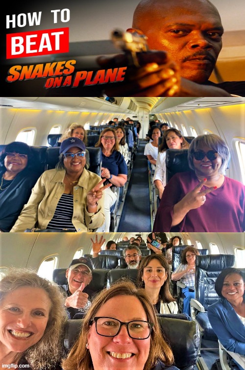 snakes (democrat) on a plane | image tagged in political humor,democrats,legislators,snakes,plane,how to | made w/ Imgflip meme maker