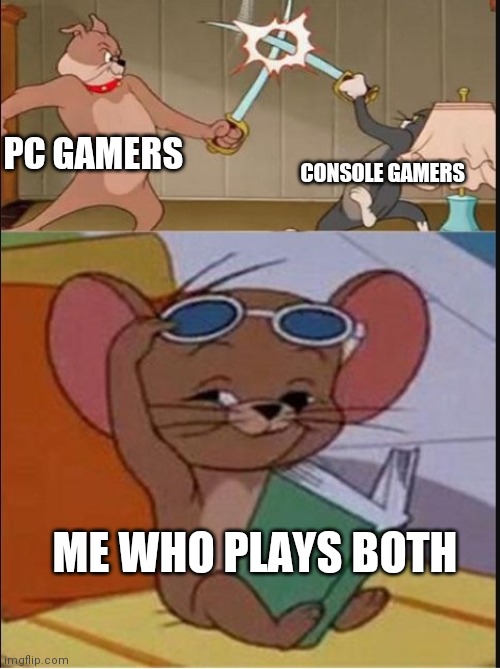 Tom and Spike fighting | CONSOLE GAMERS; PC GAMERS; ME WHO PLAYS BOTH | image tagged in tom and spike fighting | made w/ Imgflip meme maker
