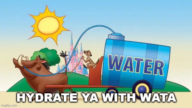 Timon & Pumbaa Hydration | HYDRATE YA WITH WATA | image tagged in water,disney,summer,hot | made w/ Imgflip meme maker