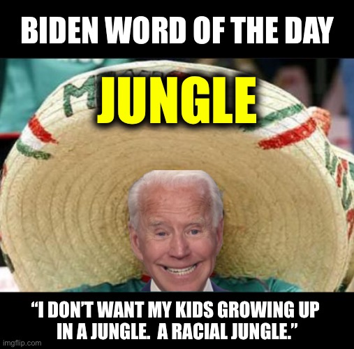 Biden Word of the Day | BIDEN WORD OF THE DAY “I DON’T WANT MY KIDS GROWING UP 
IN A JUNGLE.  A RACIAL JUNGLE.” JUNGLE | image tagged in biden word of the day | made w/ Imgflip meme maker