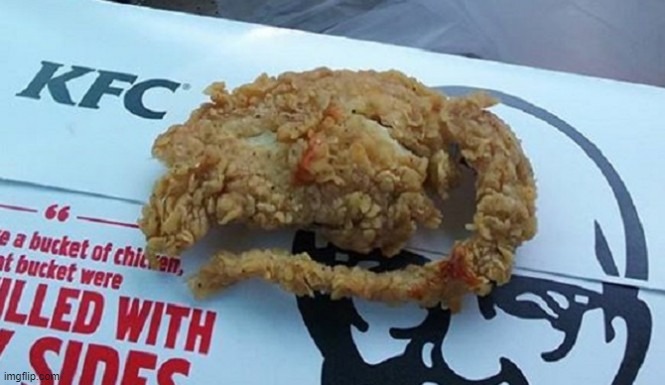 Kentucky Fried Cat | made w/ Imgflip meme maker