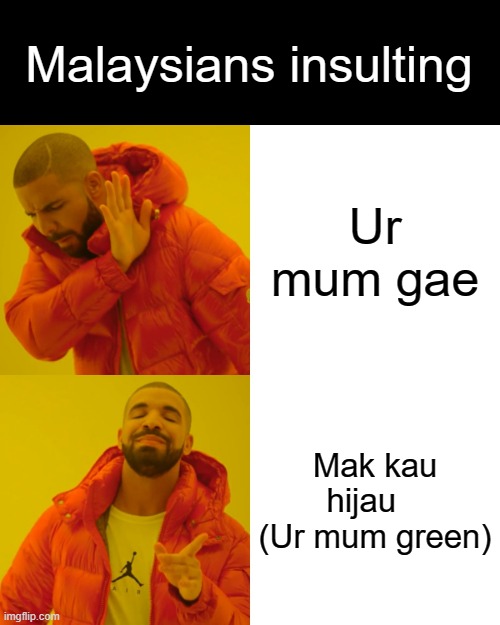 Malaysians insulting be like | Malaysians insulting; Ur mum gae; Mak kau hijau    (Ur mum green) | image tagged in memes,drake hotline bling,insult,funny | made w/ Imgflip meme maker