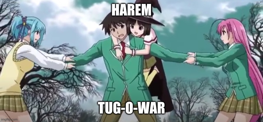 harem tug-o-war | HAREM; TUG-O-WAR | image tagged in anime memes | made w/ Imgflip meme maker