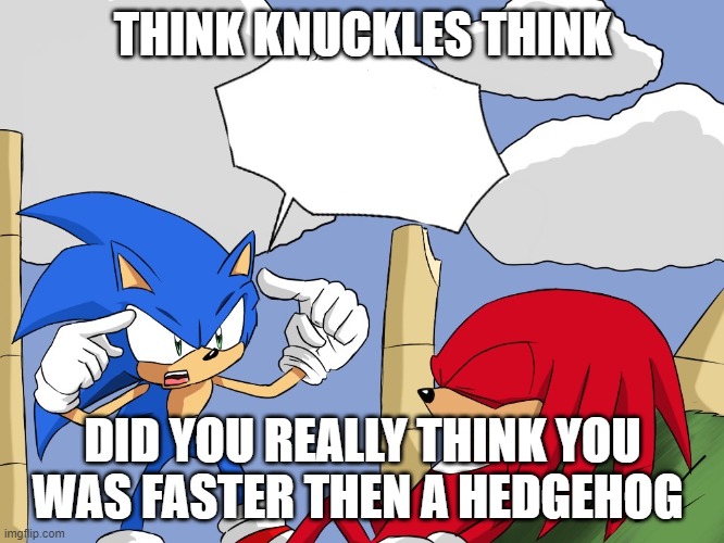 THINK KNUCKLES THINK | THINK KNUCKLES THINK; DID YOU REALLY THINK YOU WAS FASTER THEN A HEDGEHOG | image tagged in think about it | made w/ Imgflip meme maker