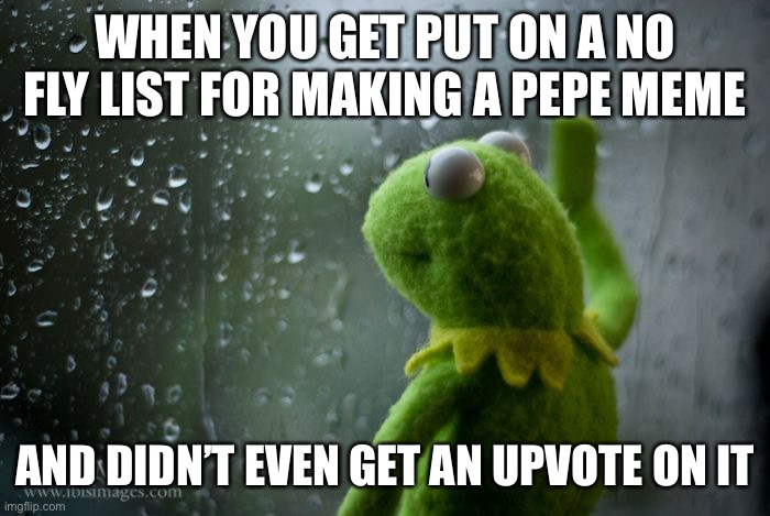 The future of memes | WHEN YOU GET PUT ON A NO FLY LIST FOR MAKING A PEPE MEME; AND DIDN’T EVEN GET AN UPVOTE ON IT | image tagged in kermit window | made w/ Imgflip meme maker
