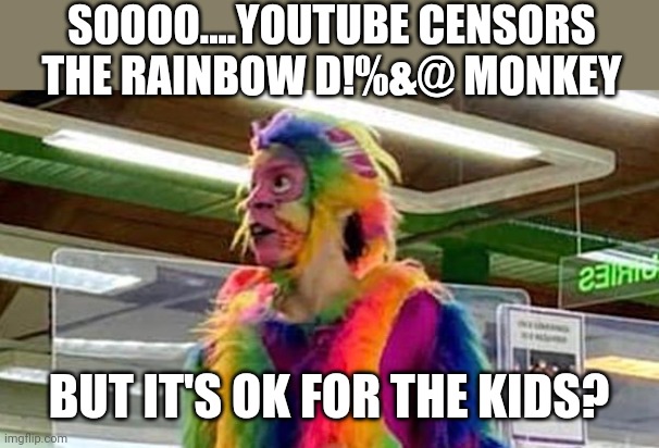 SOOOO....YOUTUBE CENSORS THE RAINBOW D!%&@ MONKEY; BUT IT'S OK FOR THE KIDS? | image tagged in funny memes | made w/ Imgflip meme maker