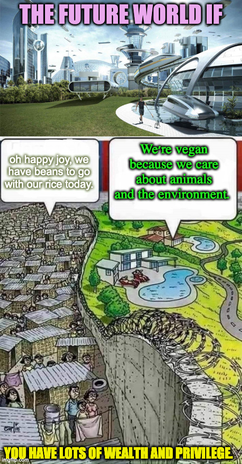 Gaited Commmunities, Walled Cities | THE FUTURE WORLD IF; We're vegan because we care about animals and the environment. oh happy joy, we have beans to go with our rice today. YOU HAVE LOTS OF WEALTH AND PRIVILEGE. | image tagged in the future world if,poor vs rich | made w/ Imgflip meme maker