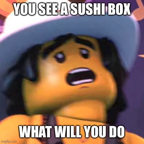 Cole | YOU SEE A SUSHI BOX; WHAT WILL YOU DO | image tagged in cole | made w/ Imgflip meme maker