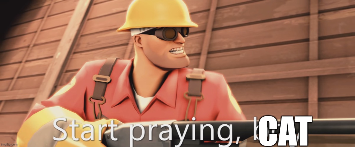 Start praying, boy | CAT | image tagged in start praying boy | made w/ Imgflip meme maker
